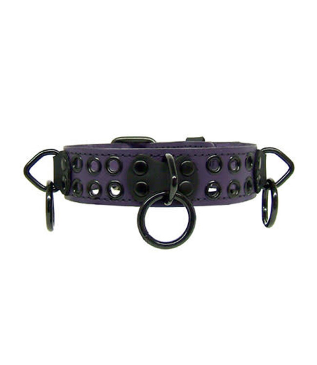 Bondage Collar With Rings And Rivets