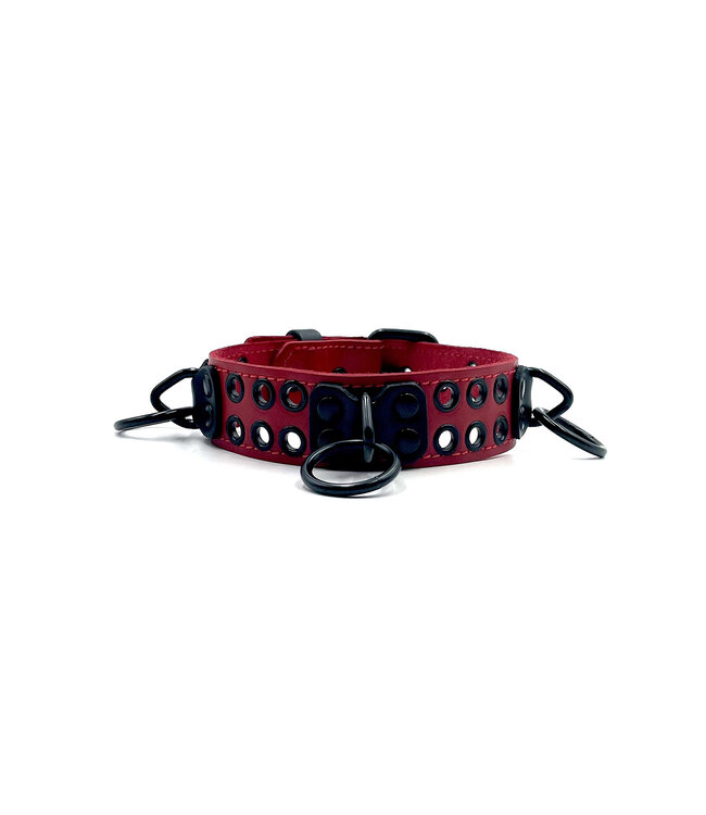 Bondage Collar With Rings And Rivets