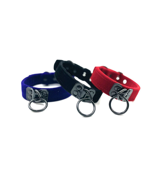Velvet Collar with Black Hardware