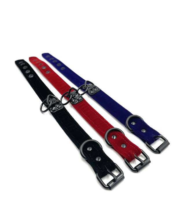 Velvet Collar with Black Hardware