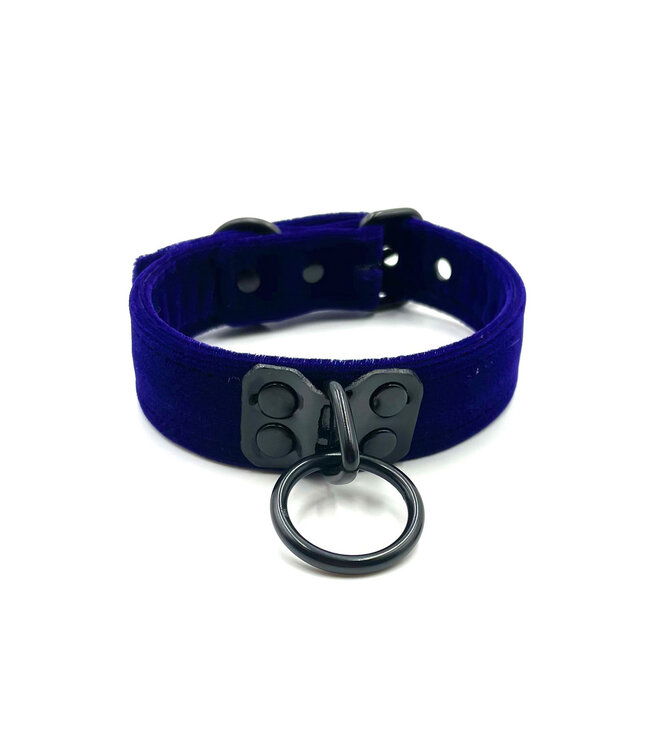 Velvet Collar with Black Hardware