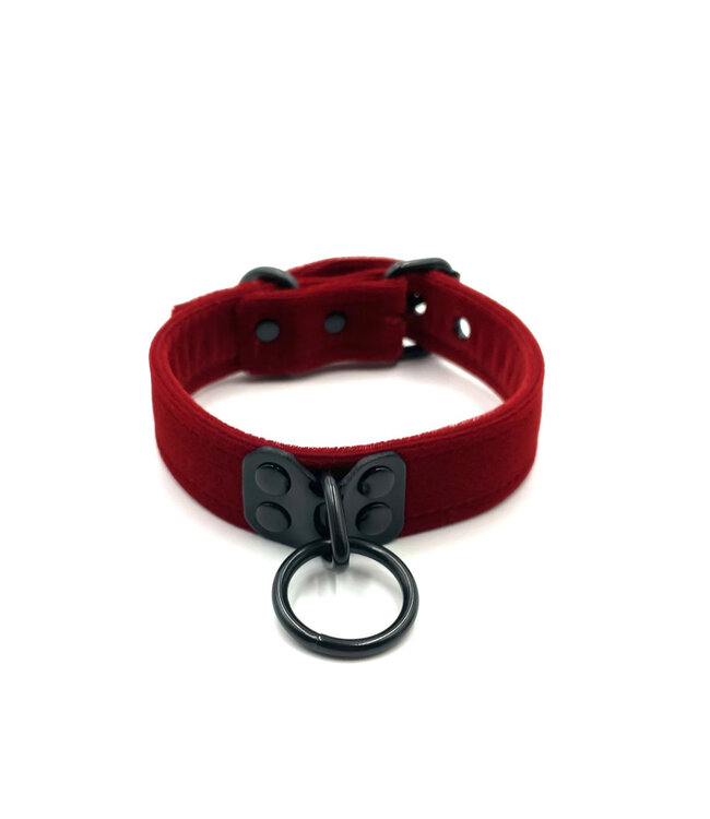 Velvet Collar with Black Hardware