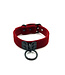 Velvet Collar with Black Hardware
