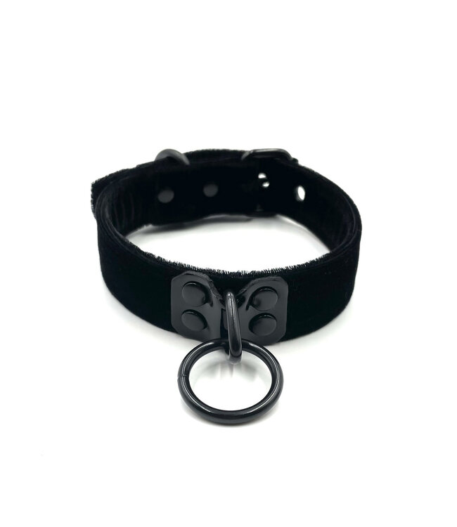 Velvet Collar with Black Hardware