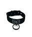 Velvet Collar with Black Hardware