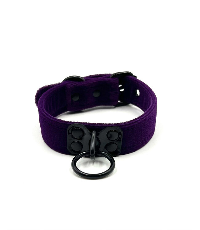 Velvet Collar with Black Hardware
