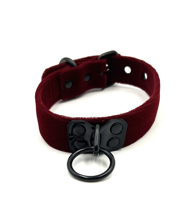 Velvet Collar with Black Hardware
