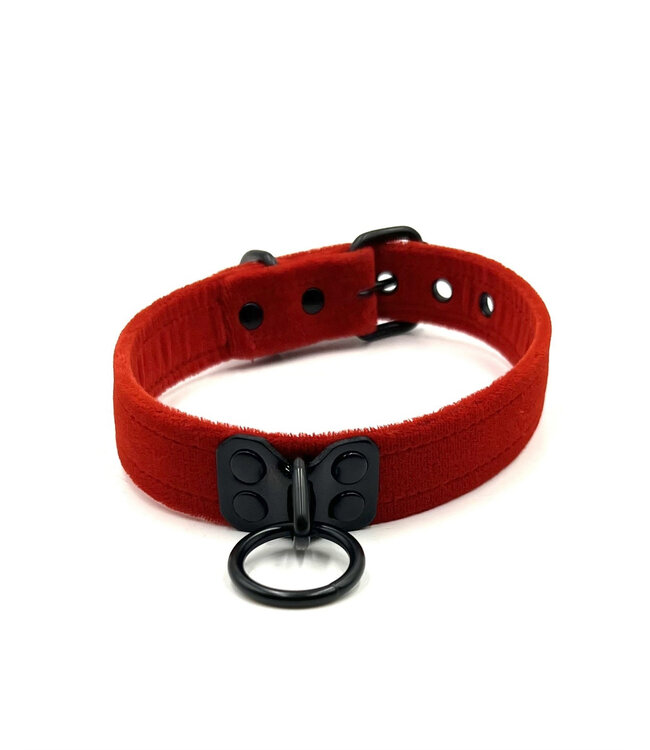 Velvet Collar with Black Hardware