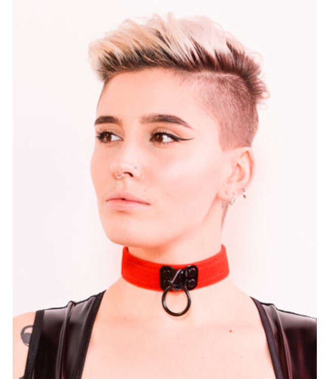 Velvet Collar with Black Hardware
