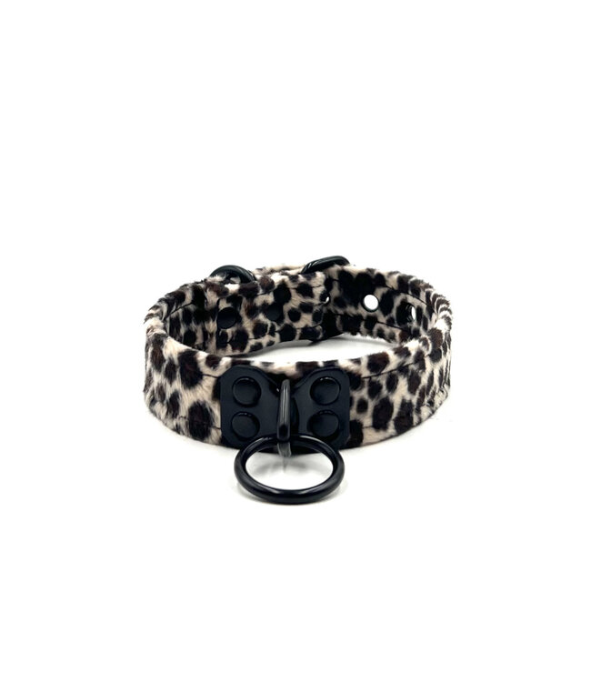 Velvet Collar with Black Hardware