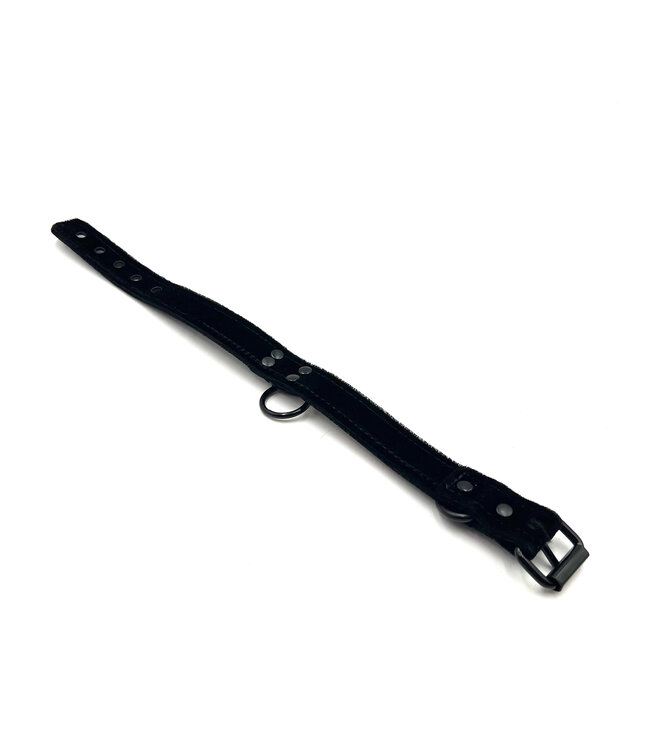 Velvet Collar with Black Hardware