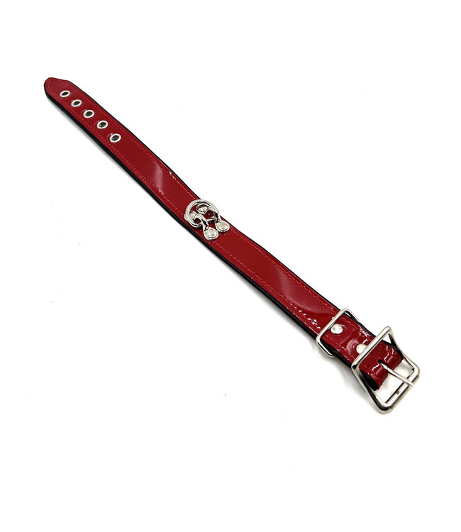 Exotic Leather Collar
