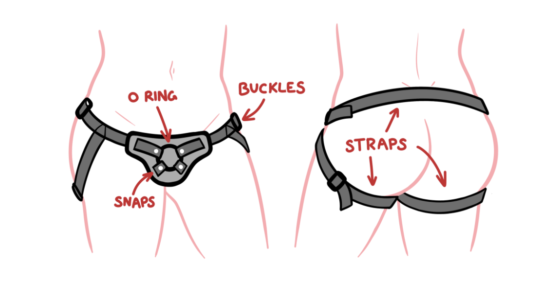 Harnesses