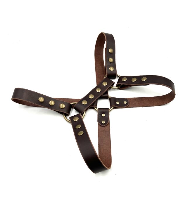 Latigo leather harness