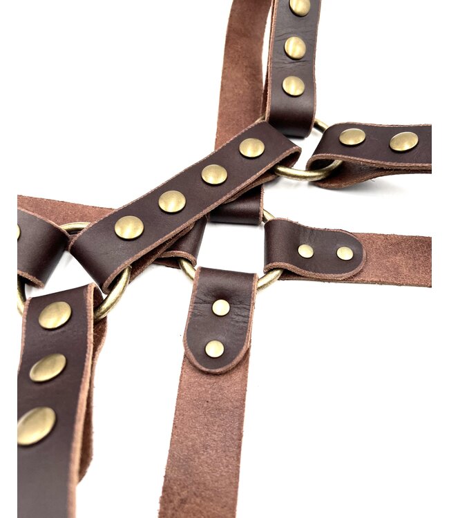 Latigo leather harness