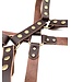 Latigo leather harness
