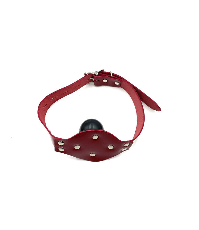 Solid Rubber Ball Gag with Lockable Straps