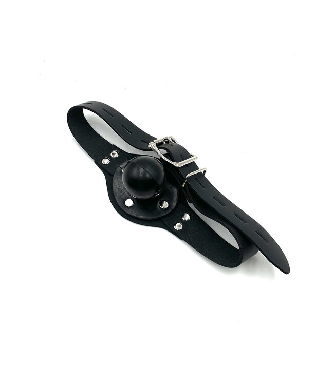 Solid Rubber Ball Gag with Lockable Straps