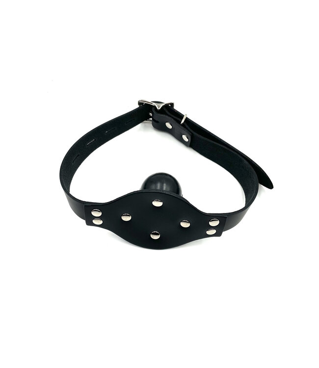 Solid Rubber Ball Gag with Lockable Straps