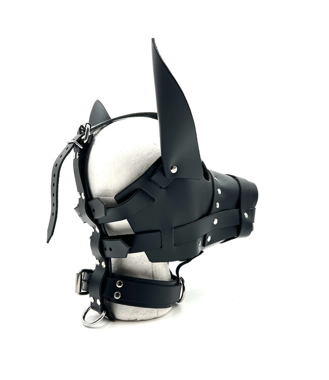 The Big Dog Hood