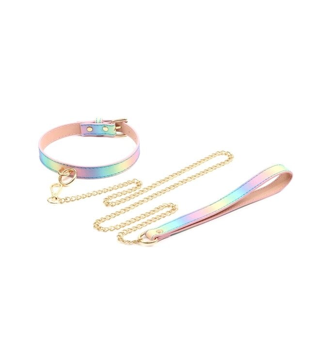 Love is love Collar and leash