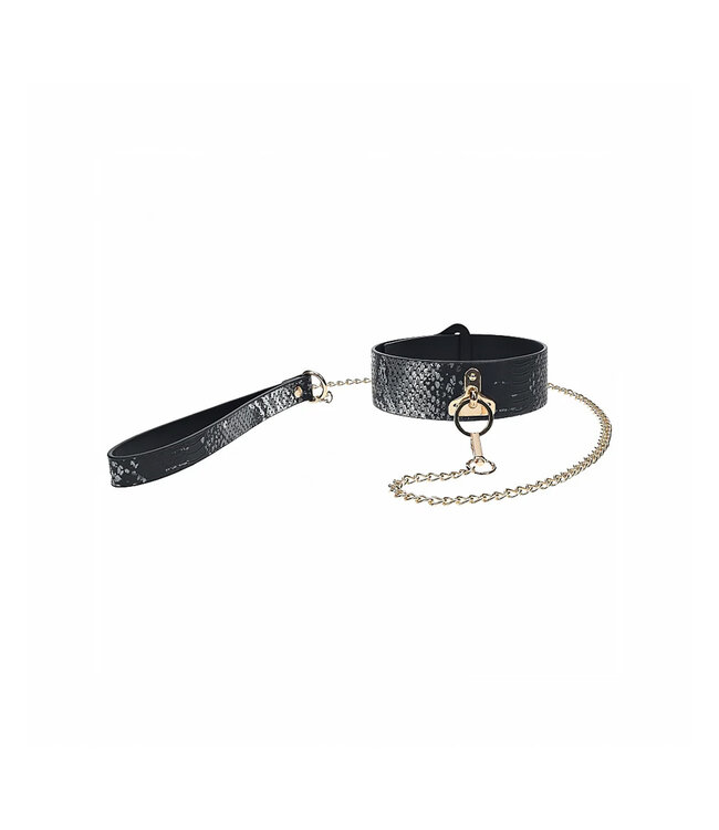 Florence Collection | Collar with Leash