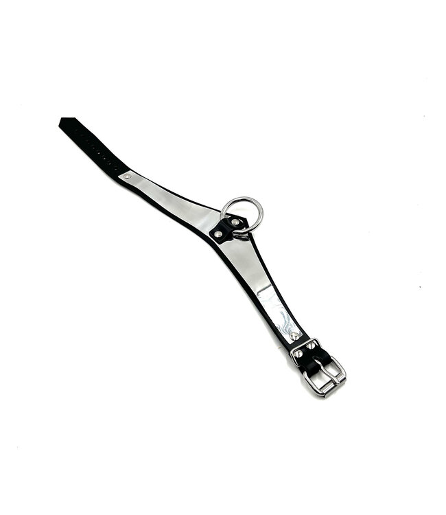 Metal Band Formal Bondage Collar