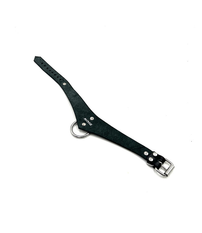 Metal Band Formal Bondage Collar