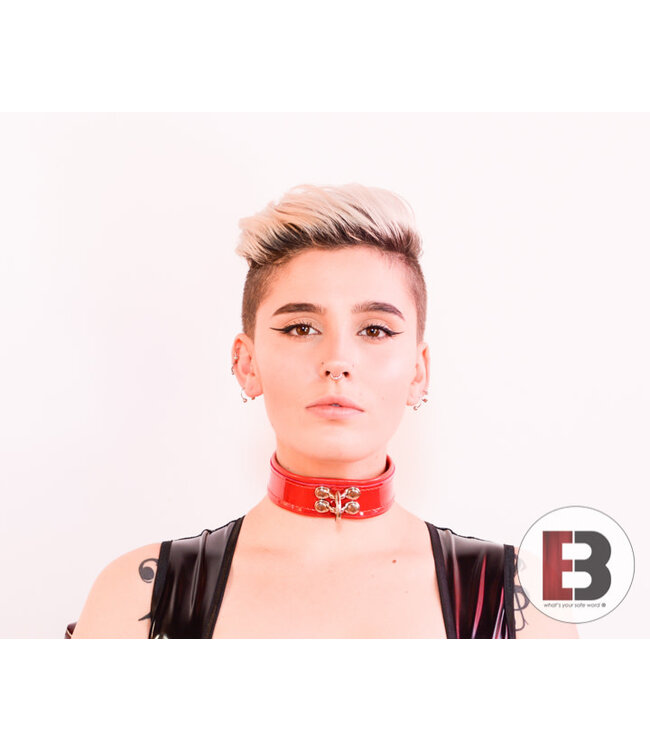 Exotic Leather BDSM Collar