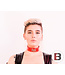 Exotic Leather Collar