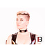 Exotic Leather Collar