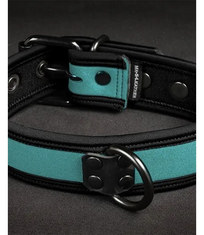Neoprene Bold Color Puppy Collar
