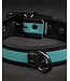 Neoprene Bold Color Puppy Collar