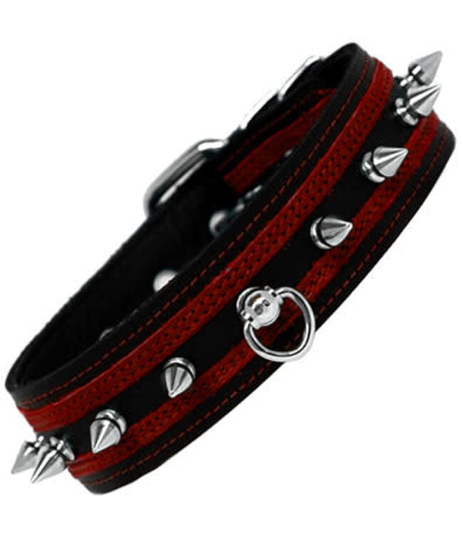 Post Ring And Spike Collar