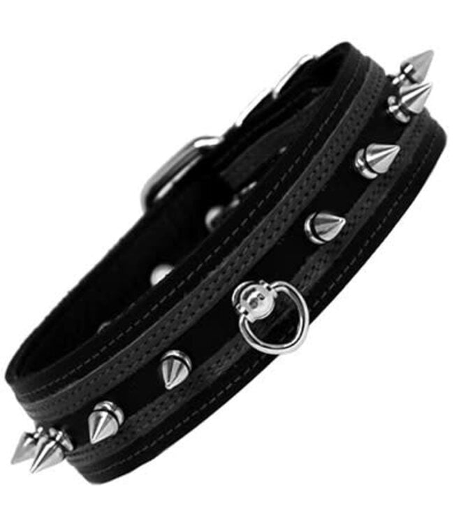 Post Ring And Spike Collar