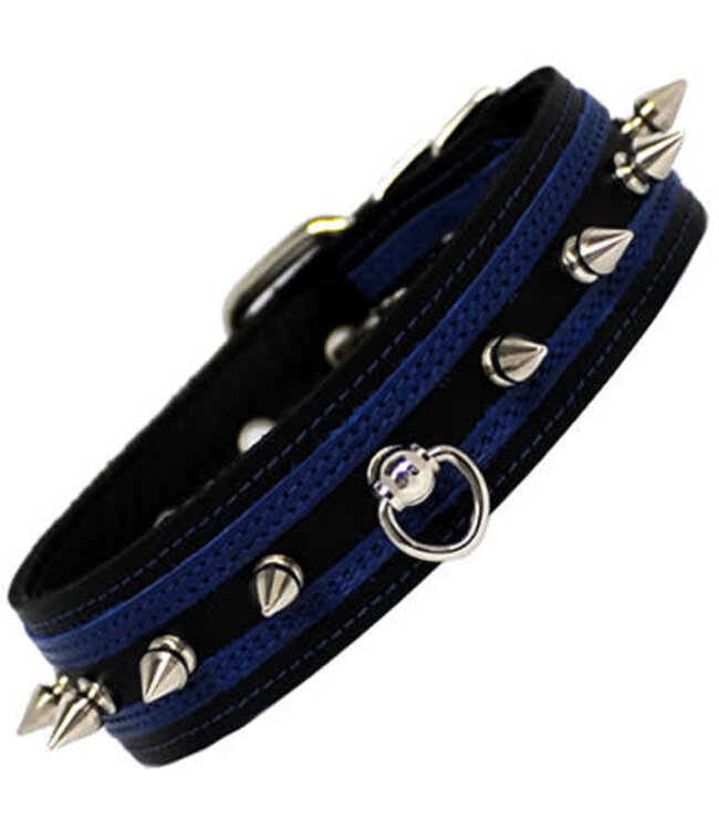 Post Ring And Spike Collar