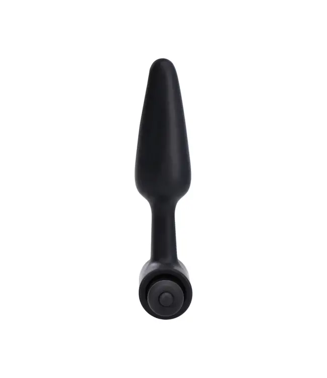 In A Bag Vibrating Butt Plug