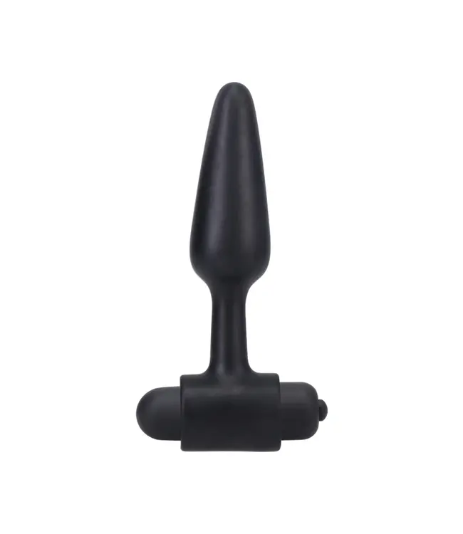 In A Bag Vibrating Butt Plug