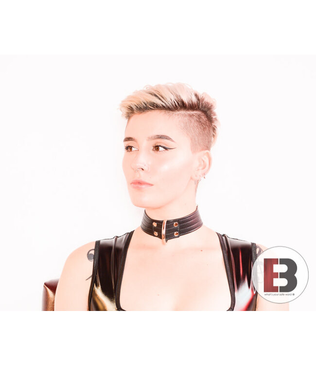 Garment Leather Slave Collar