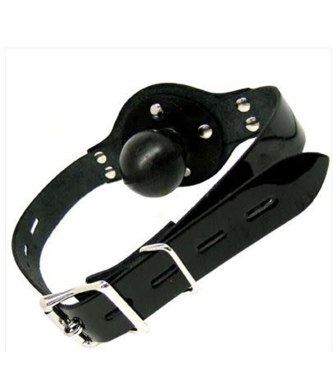 Solid Rubber Ball Gag with Lockable Straps