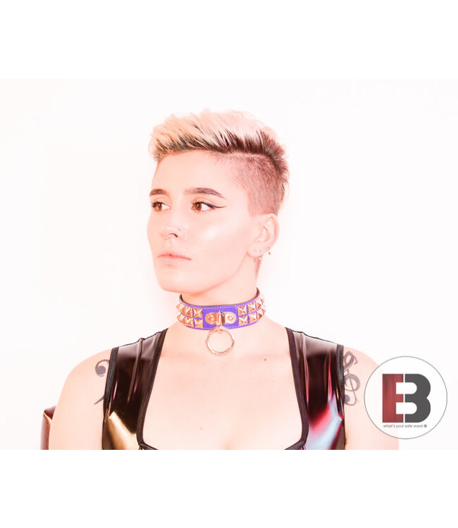 Two Row Studded Shiny Collar