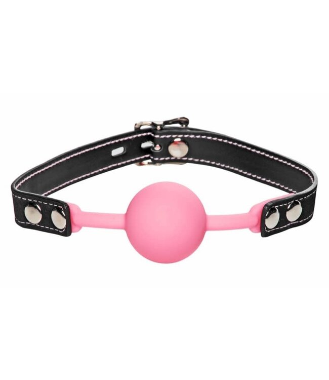Glow in the Dark Silicone Ball Gag
