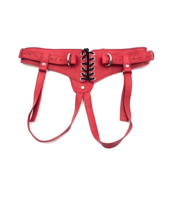 Spanked Strap It On & Play | Strap-on Harness
