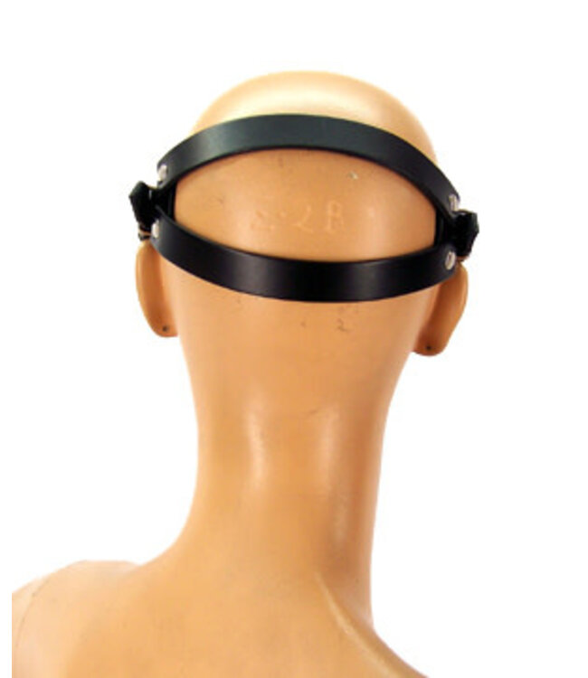 The Ultimate BDSM Blindfold