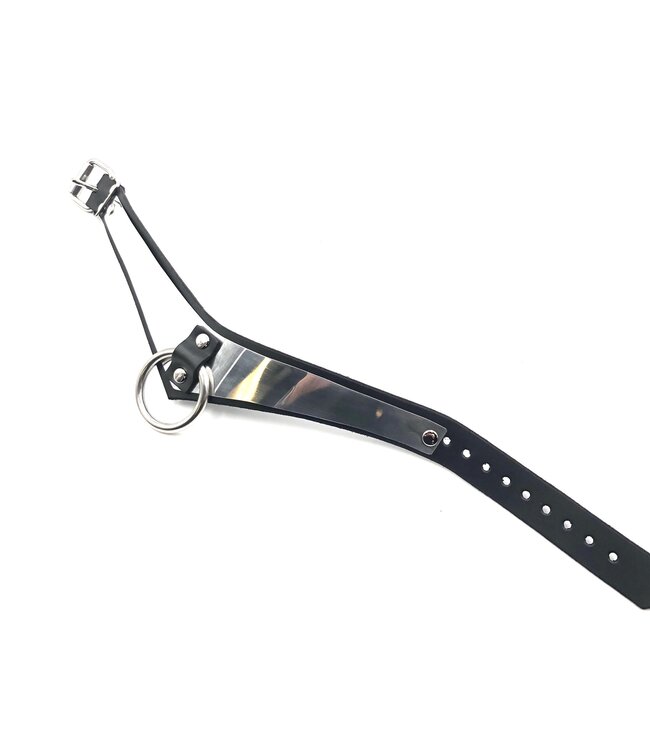 Metal Band Formal Bondage Collar