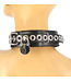 Locking Leather/Neoprene Collar
