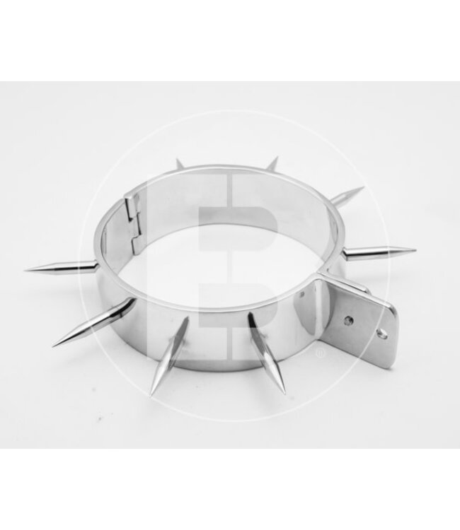 Spiked  Slave Collar