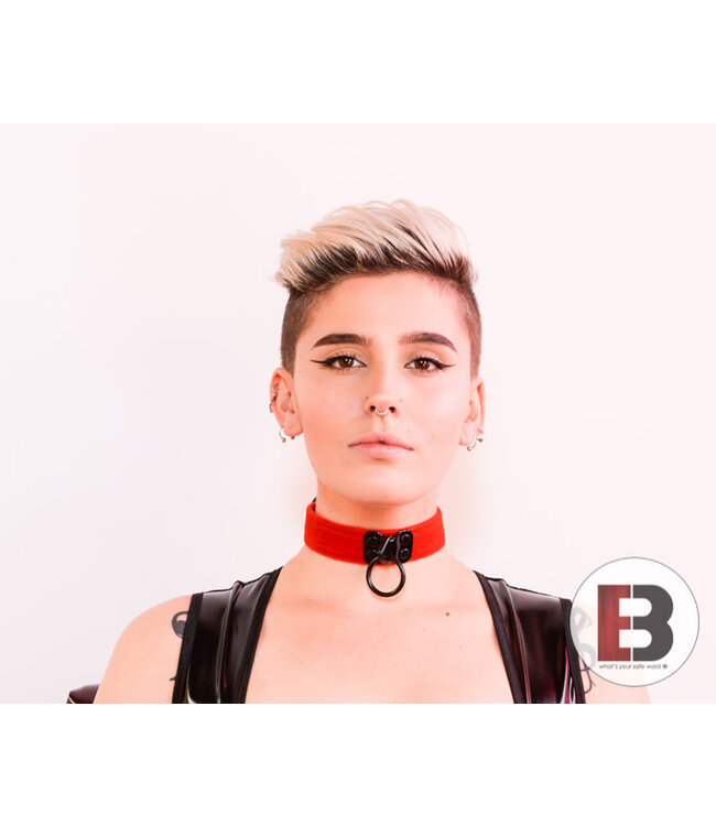 Velvet Collar with Black Hardware