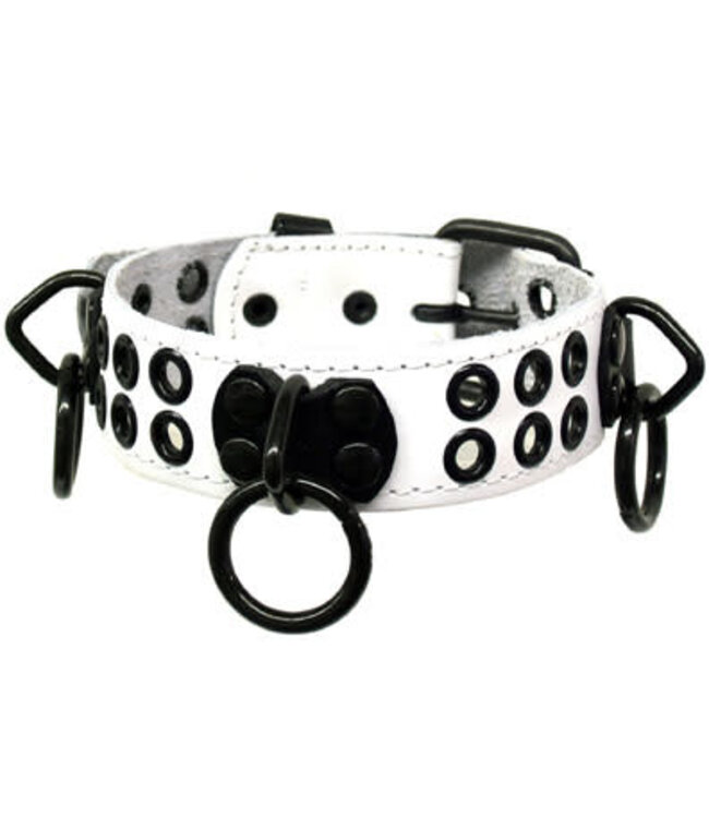 Bondage Collar With Rings And Rivets