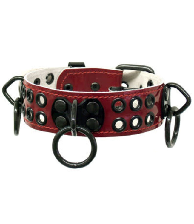 Bondage Collar With Rings And Rivets